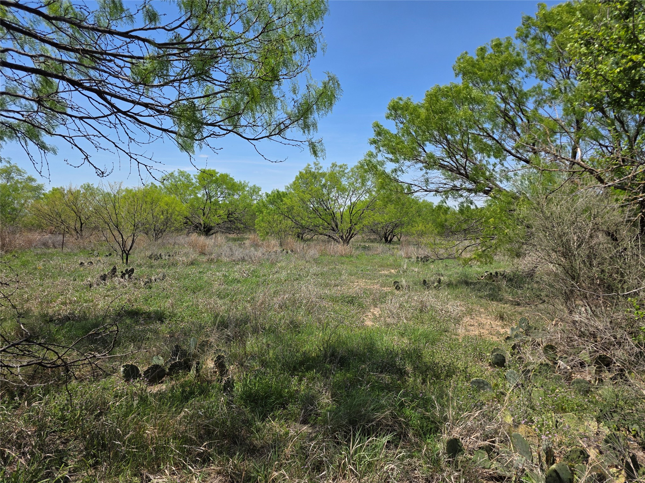 3925 County Road 216 San Saba TX 76877
