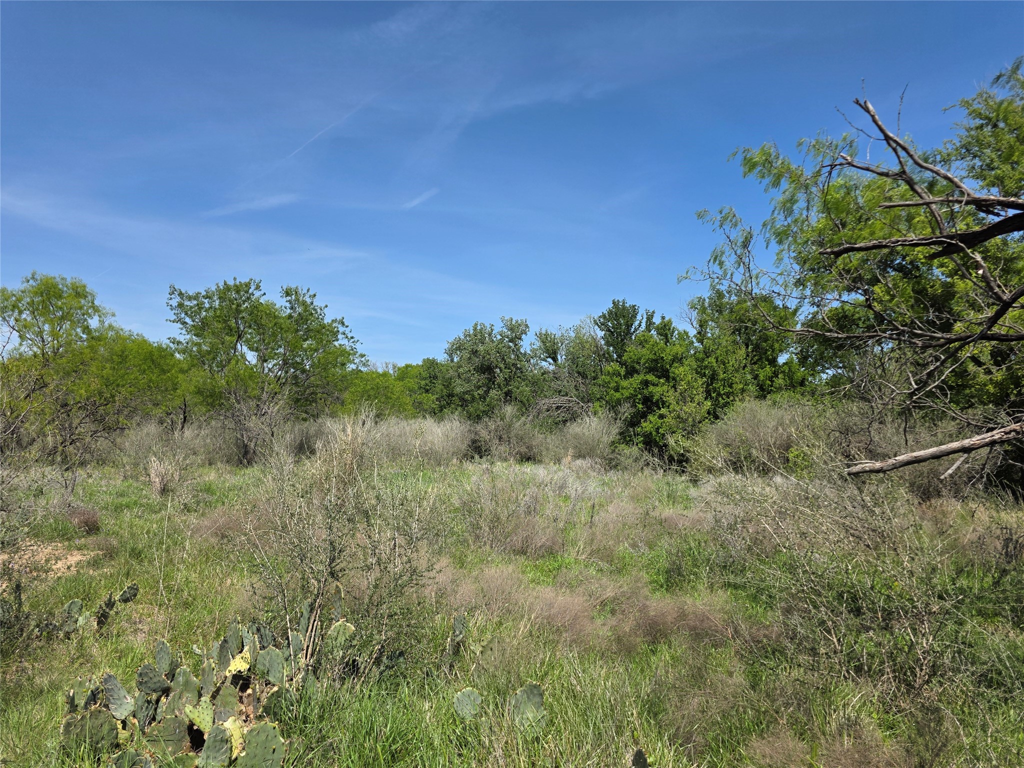 3925 County Road 216 San Saba TX 76877