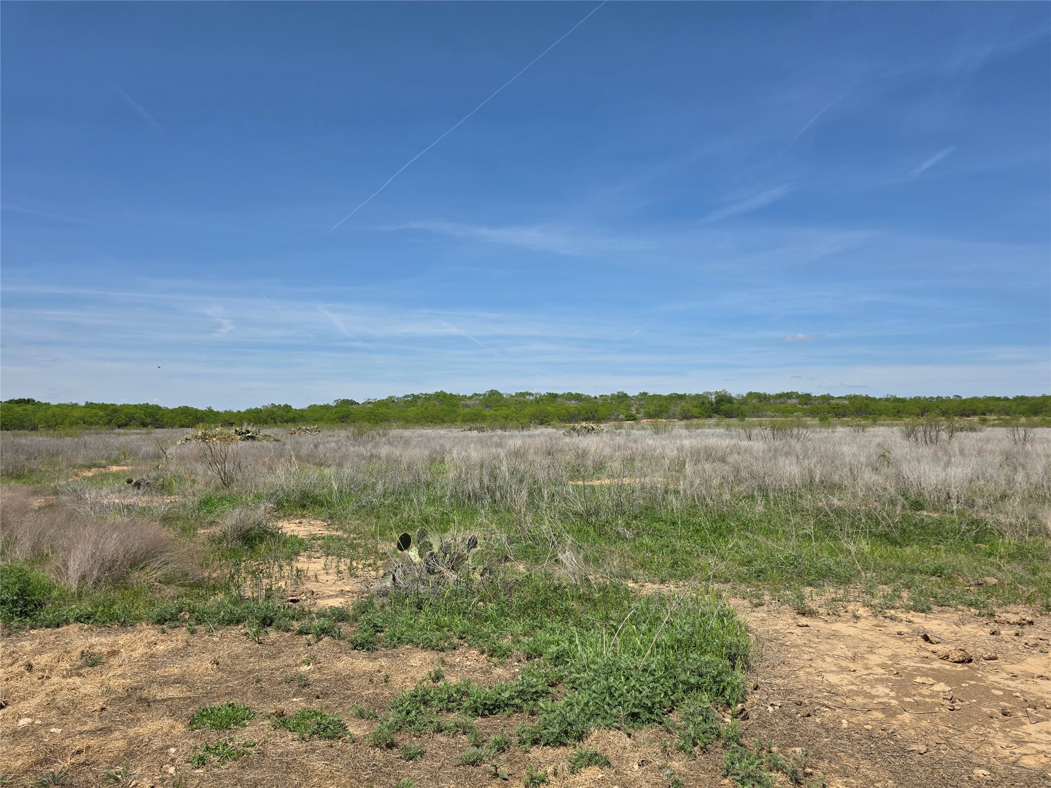 3925 County Road 216 San Saba TX 76877
