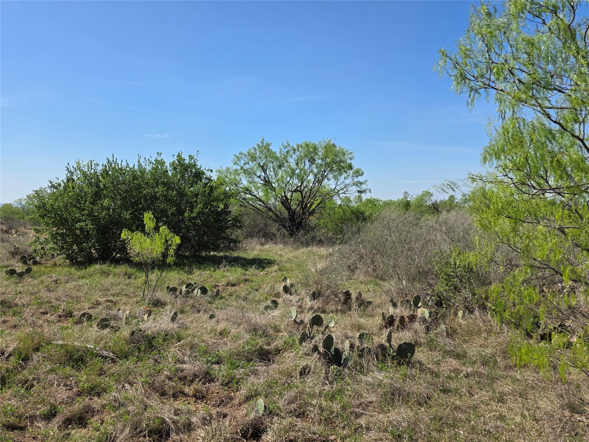 3925 County Road 216 San Saba TX 76877