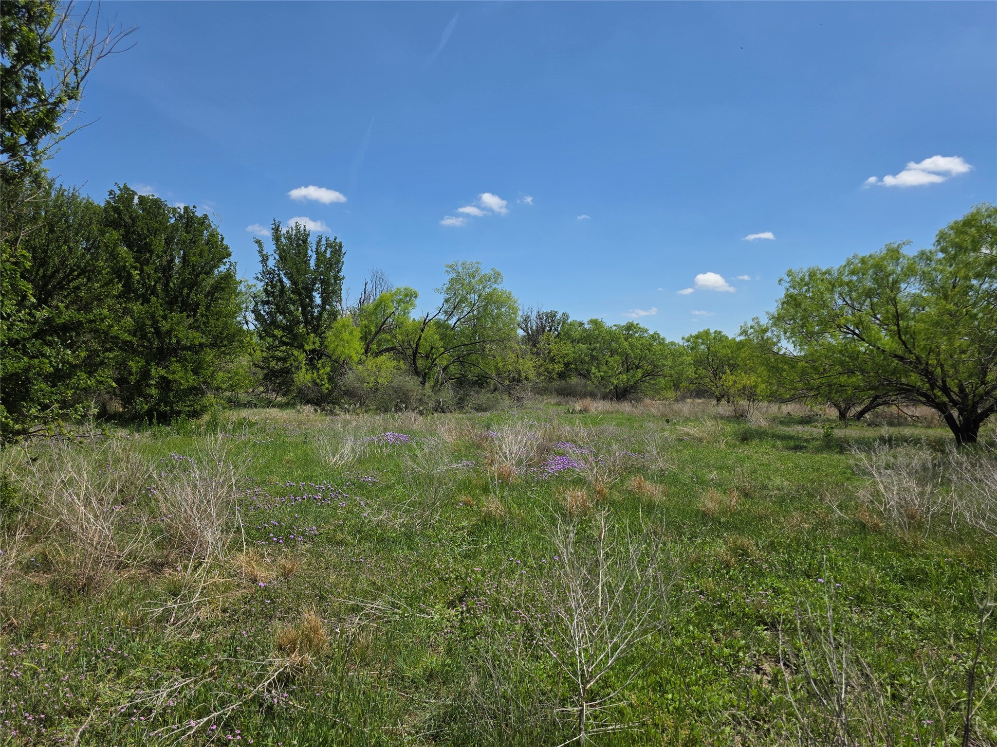 3925 County Road 216 San Saba TX 76877