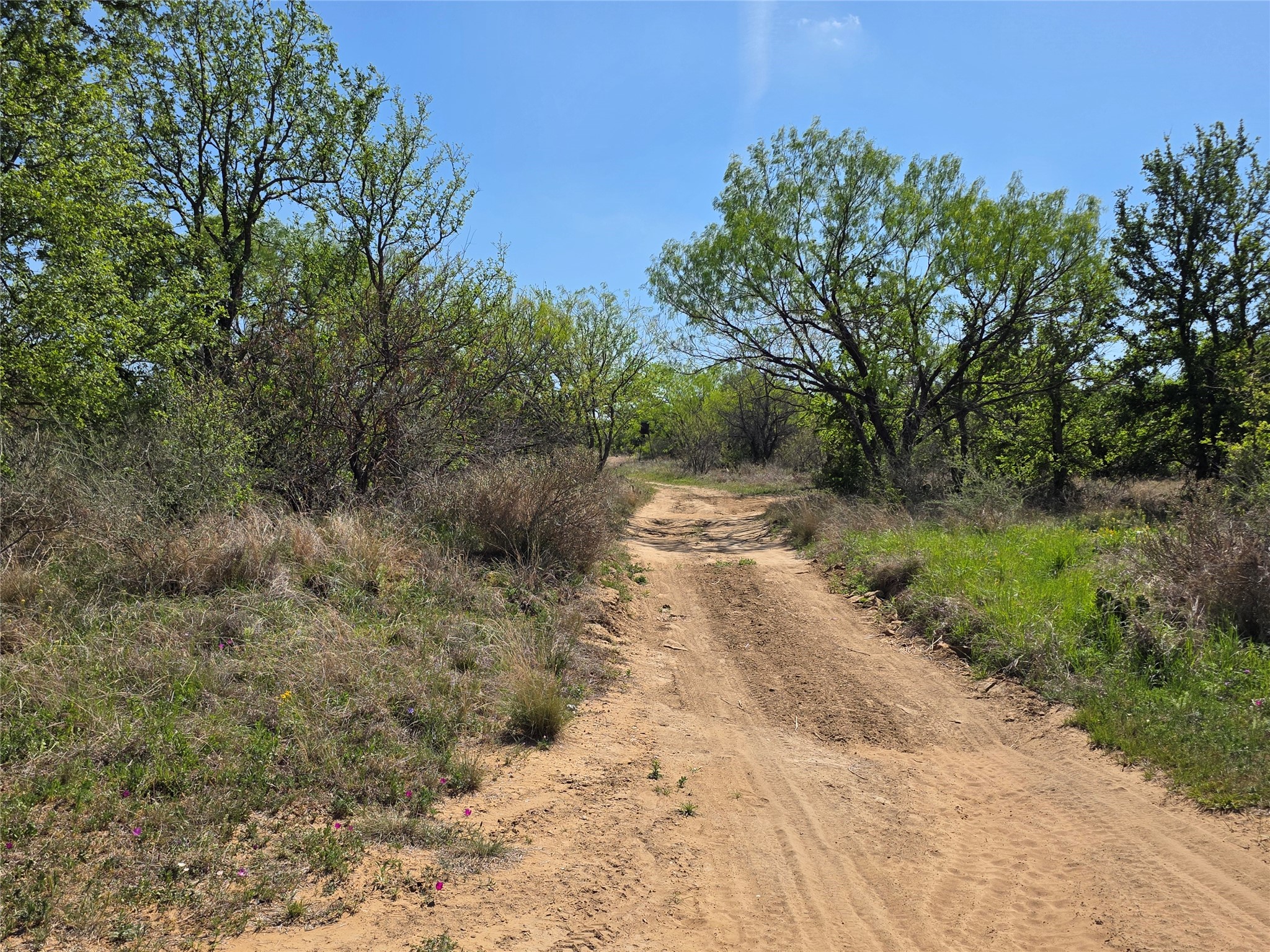 3925 County Road 216 San Saba TX 76877