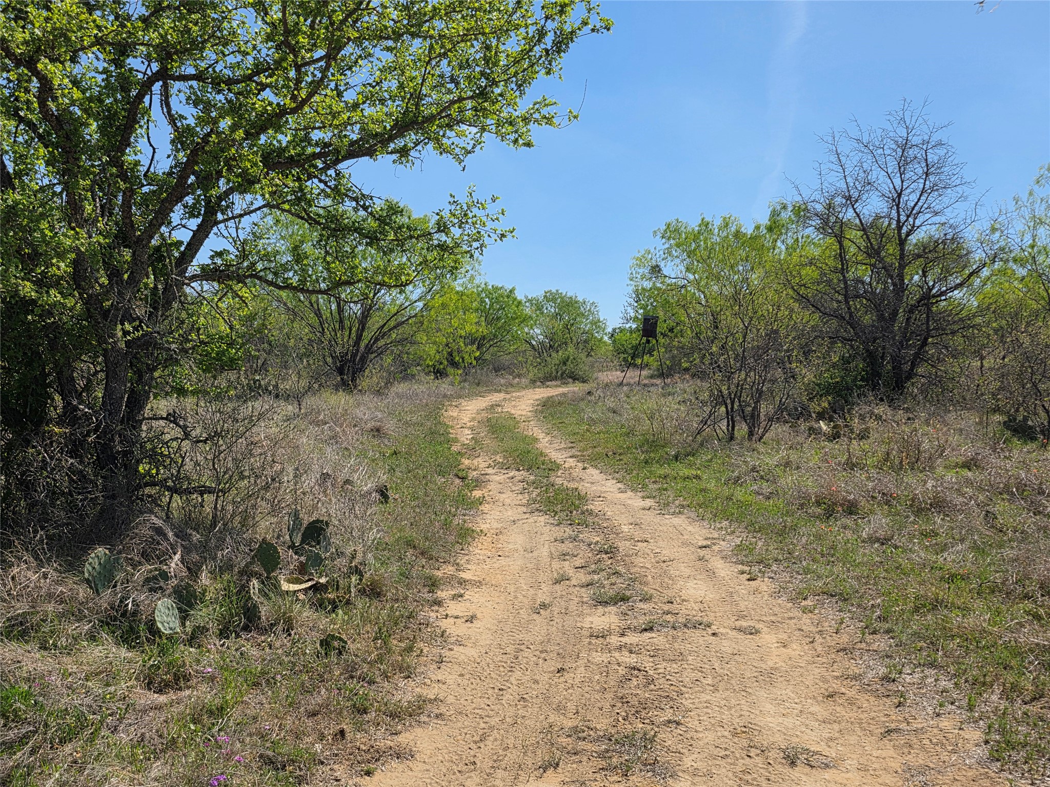 3925 County Road 216 San Saba TX 76877