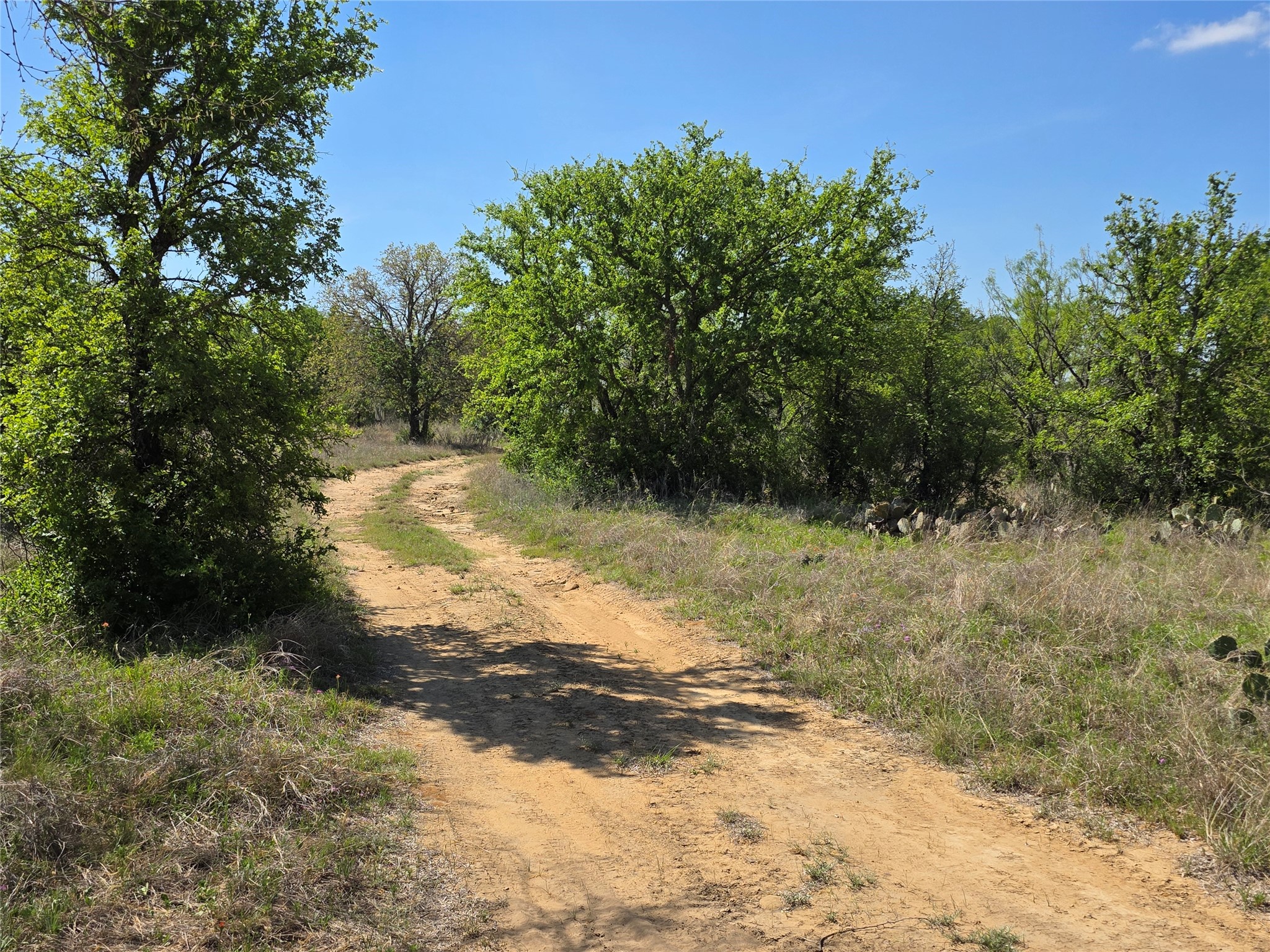 3925 County Road 216 San Saba TX 76877