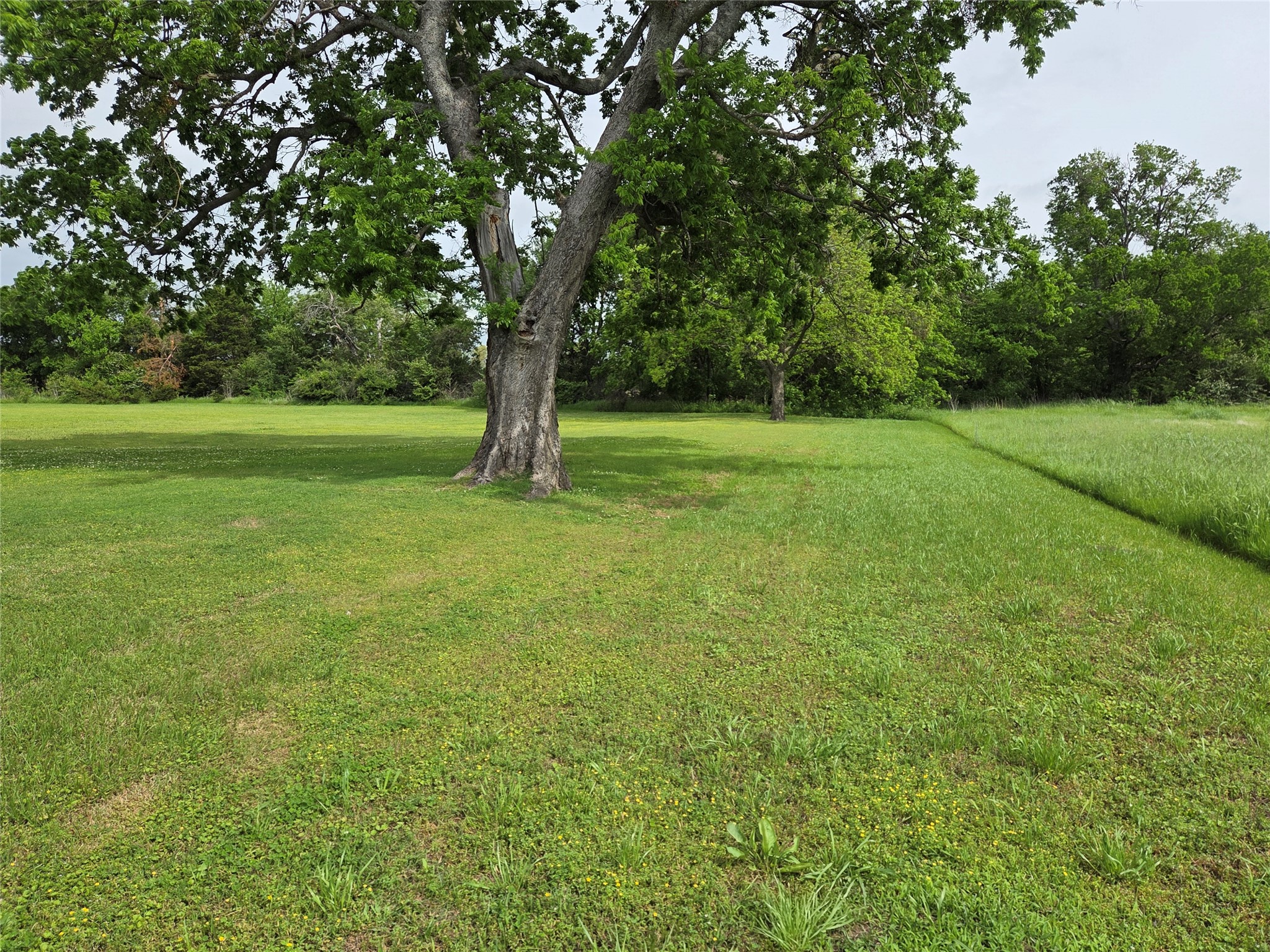 1104 W 13th Bonham TX 75418