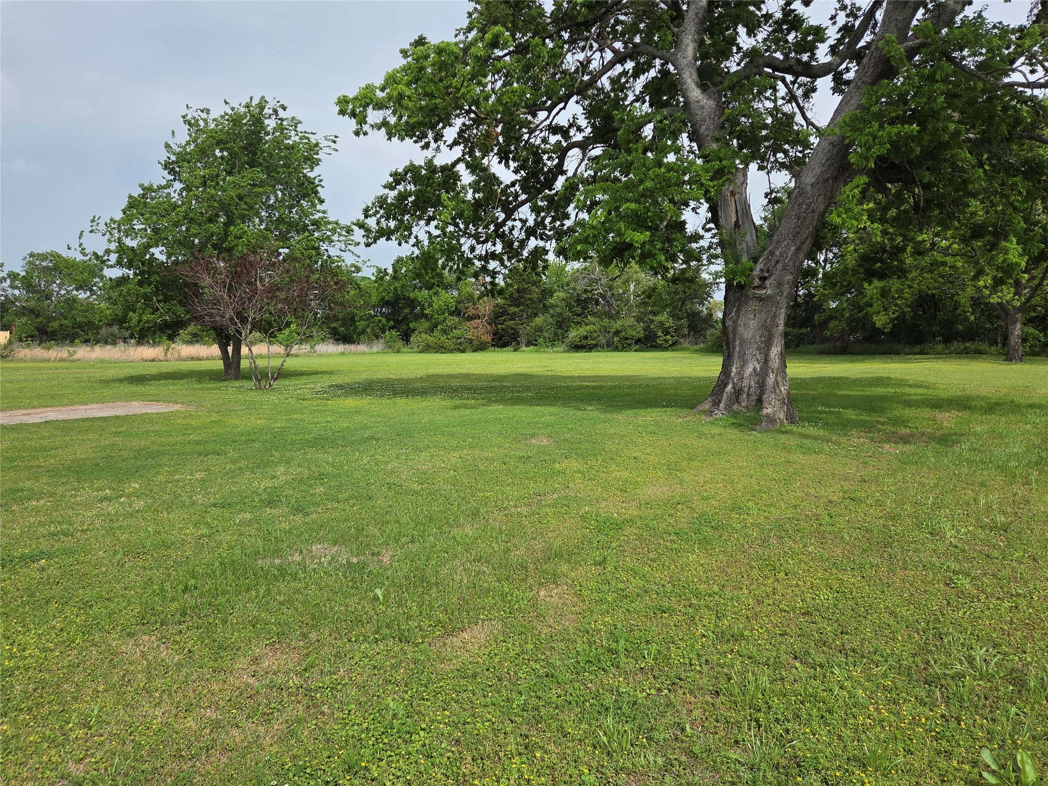 1104 W 13th Bonham TX 75418