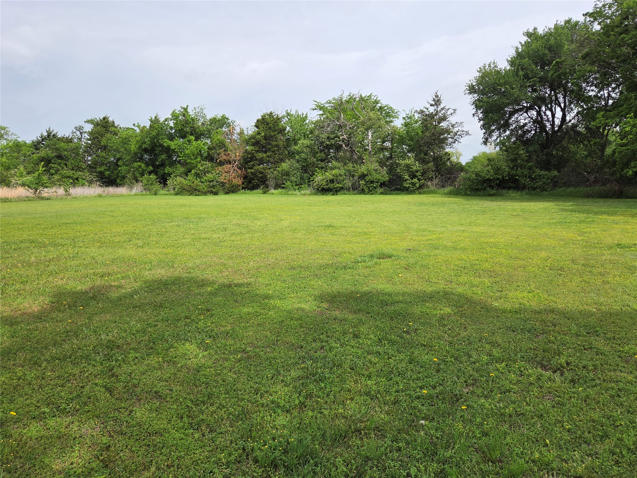 1104 W 13th Bonham TX 75418
