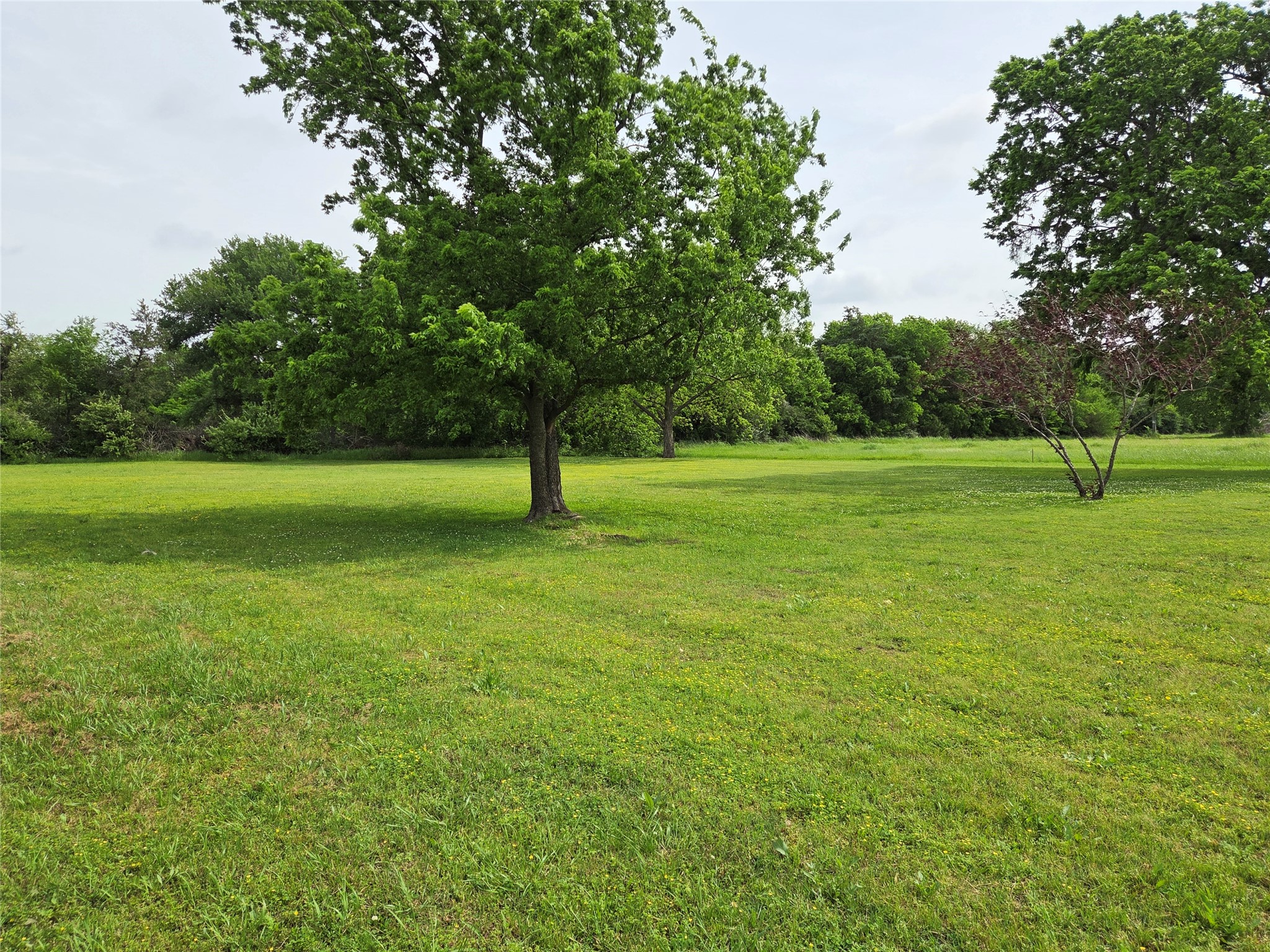 1104 W 13th Bonham TX 75418