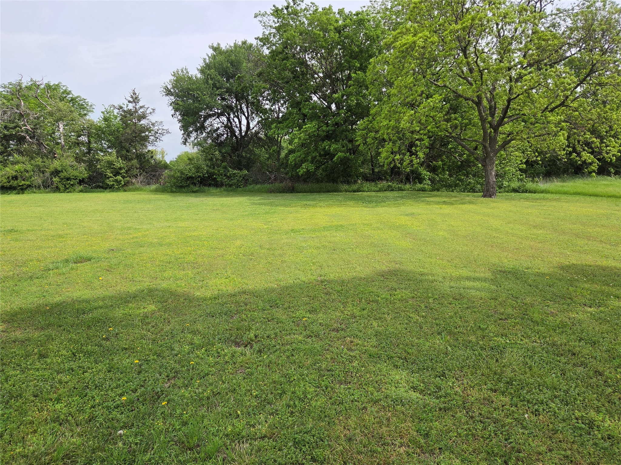 1104 W 13th Bonham TX 75418