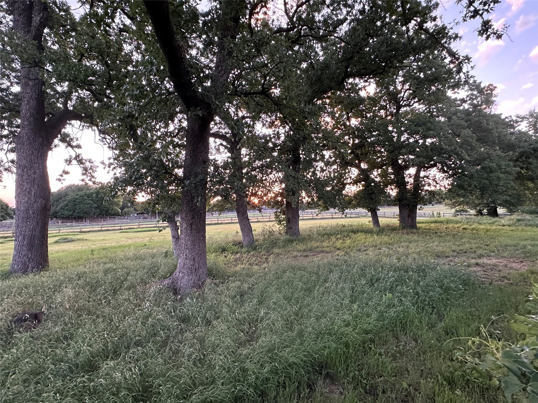 1231 Latigo Lane Bartonville TX 75022