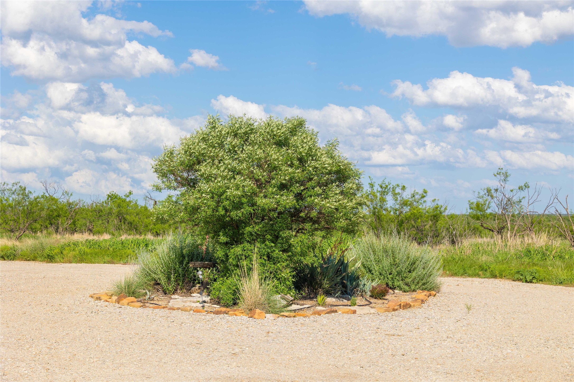 970 County Road 256 Coleman TX 76834