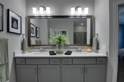 1236 Cornerstone Drive Little Elm TX 76227