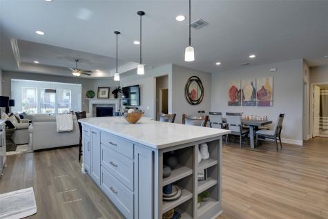 1236 Cornerstone Drive Little Elm TX 76227