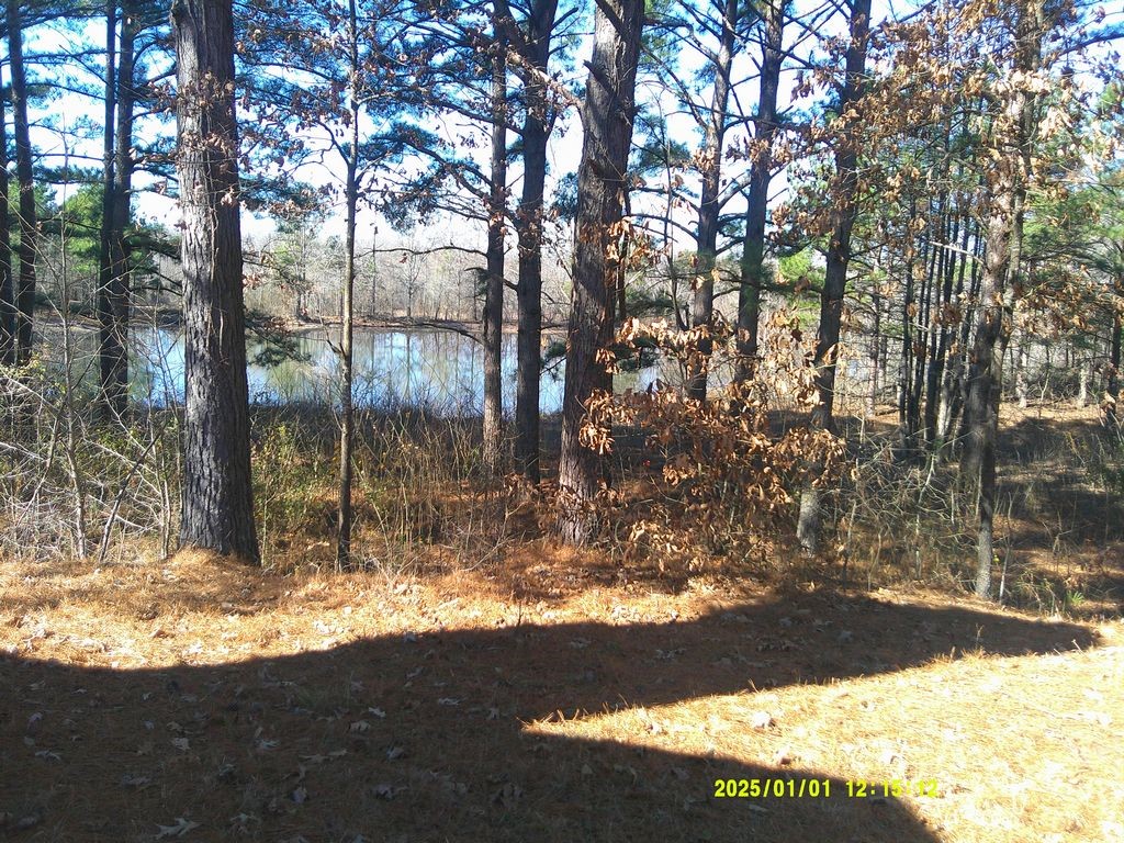 3726 County Road 4284 Simms TX 75574