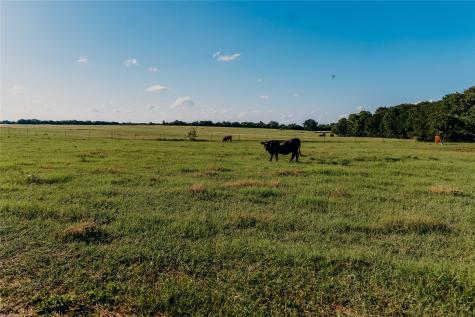 1740 Highway 2247 Comanche TX 76442