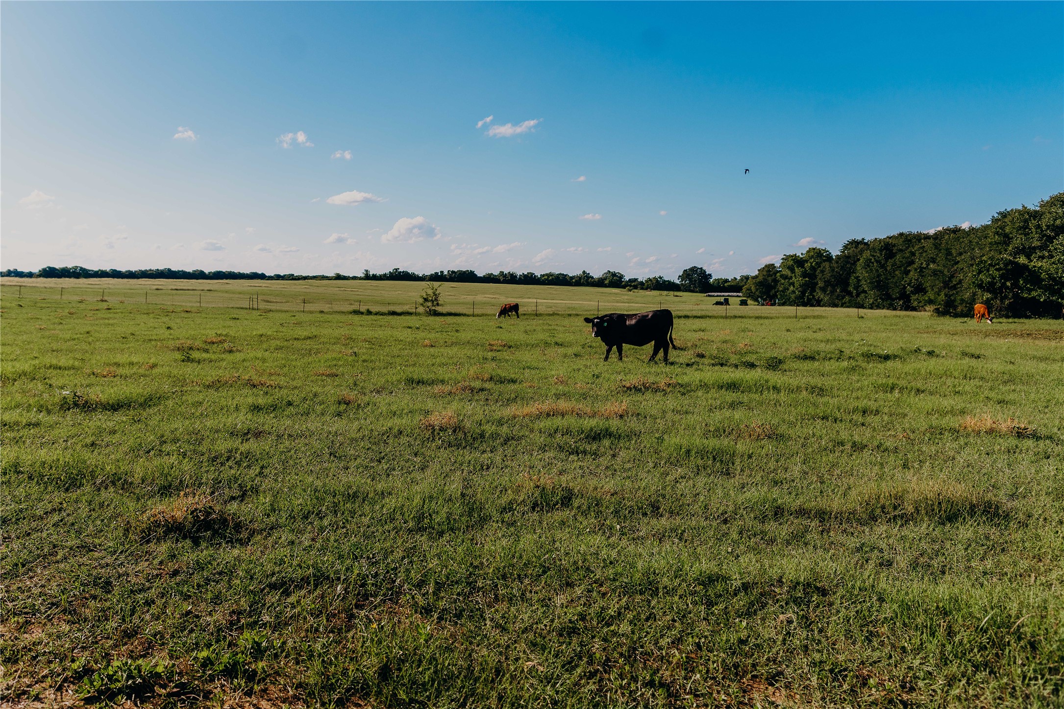 1740 Highway 2247 Comanche TX 76442