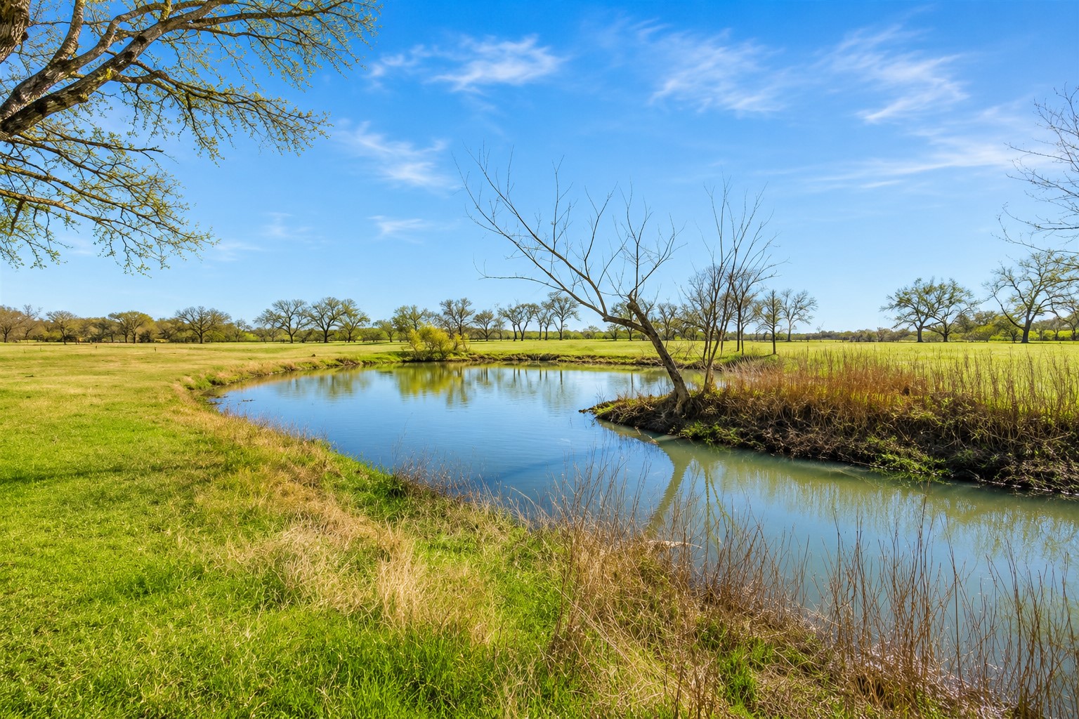 168 Country Drive Waco TX 76705