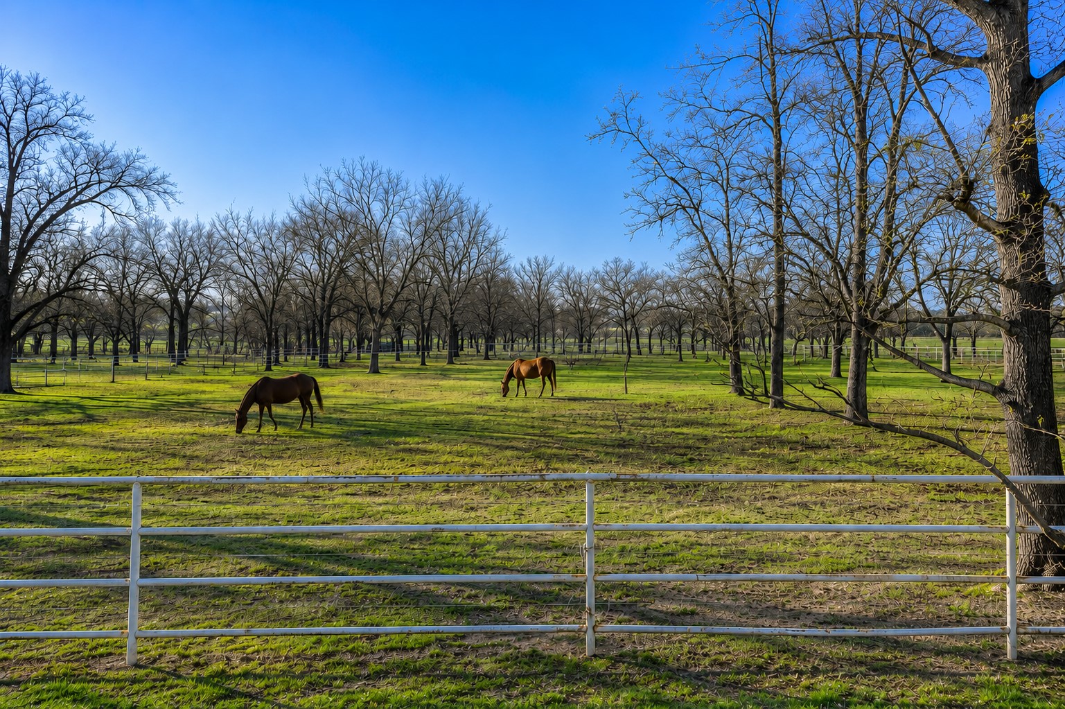 168 Country Drive Waco TX 76705
