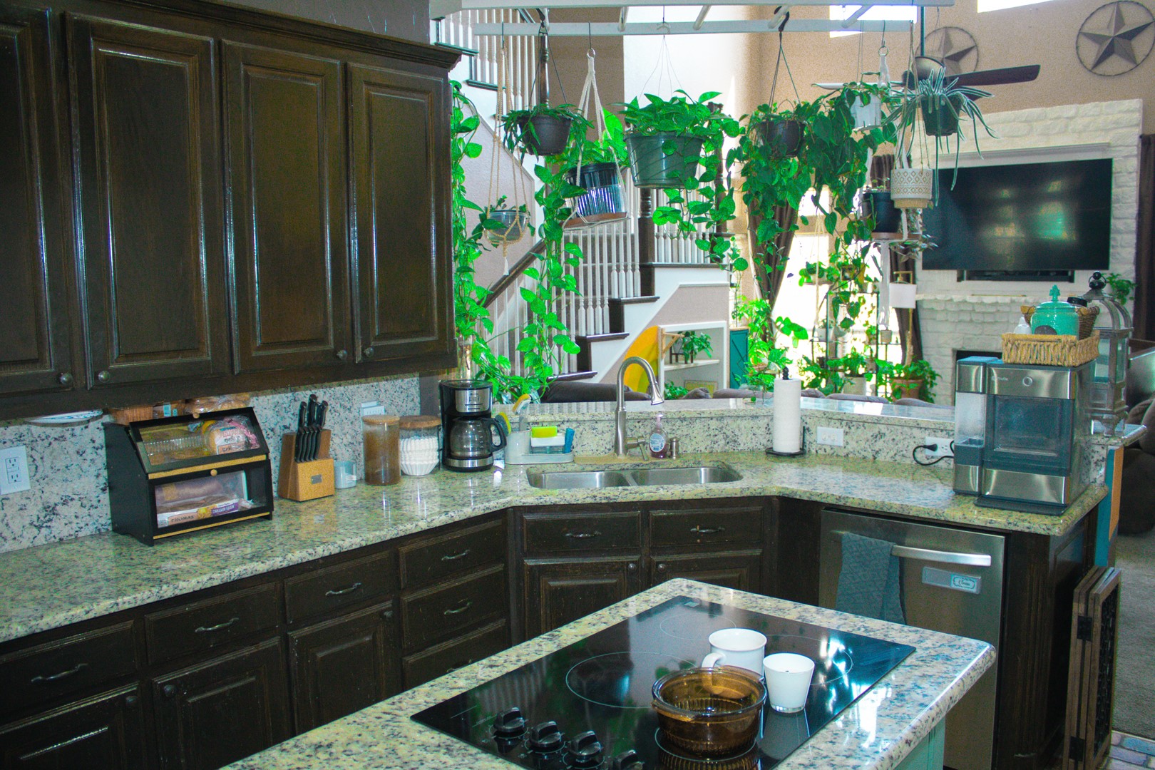 10 Shady Creek Lane Bridgeport TX 76426