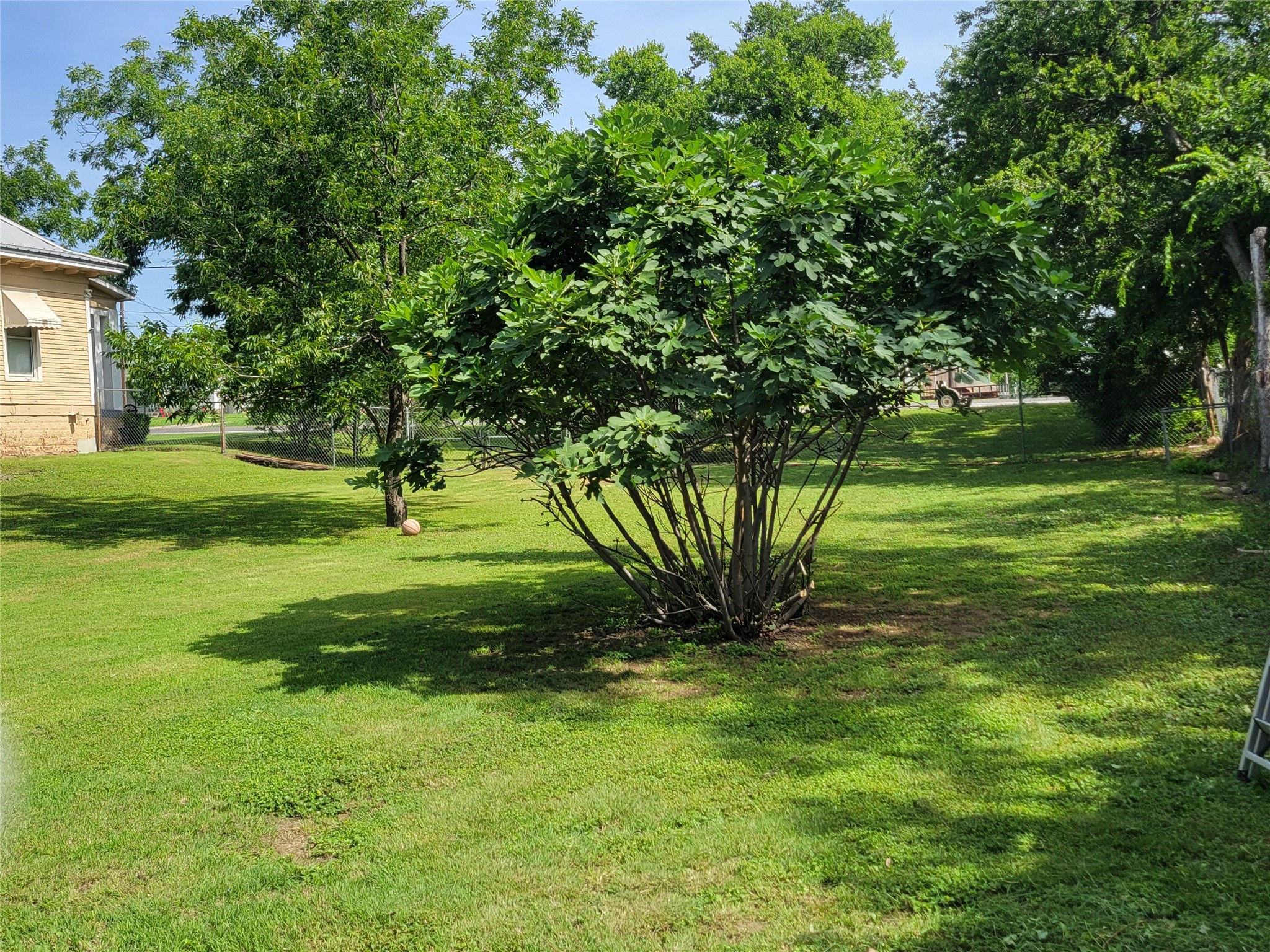 706 W Wrights Avenue Comanche TX 76442