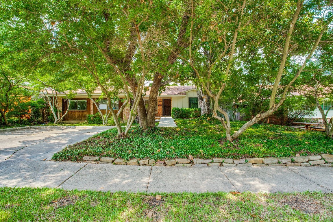 1204 Magnolia Drive Richardson TX 75080