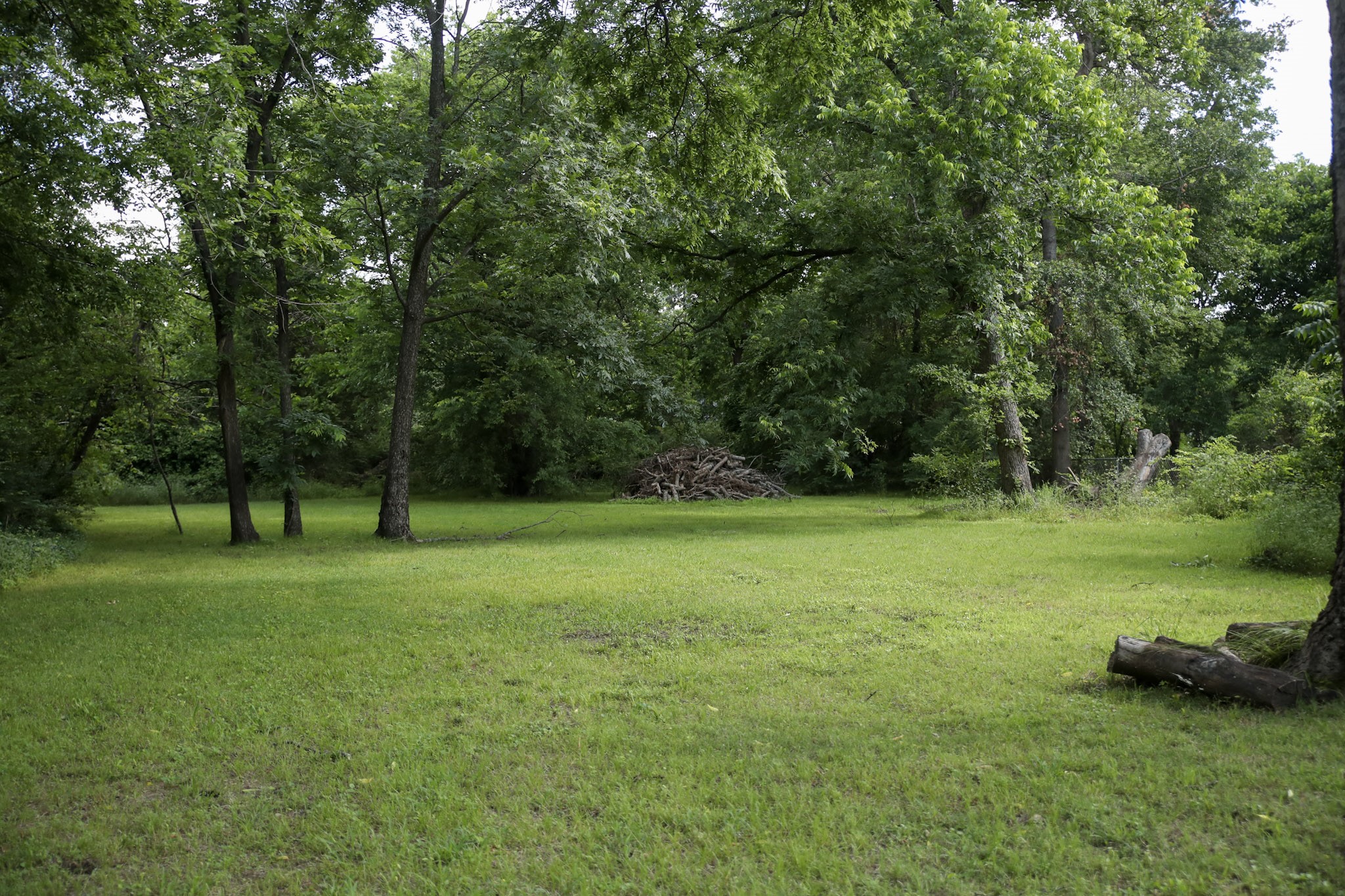 1500 Bonham Street Commerce TX 75428