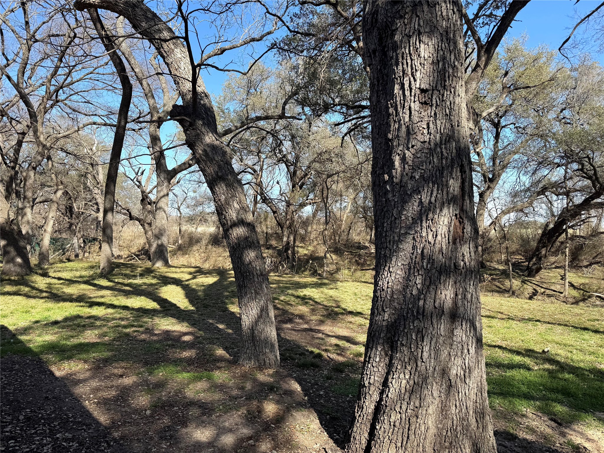 650 Highway 3200 Comanche TX 76442