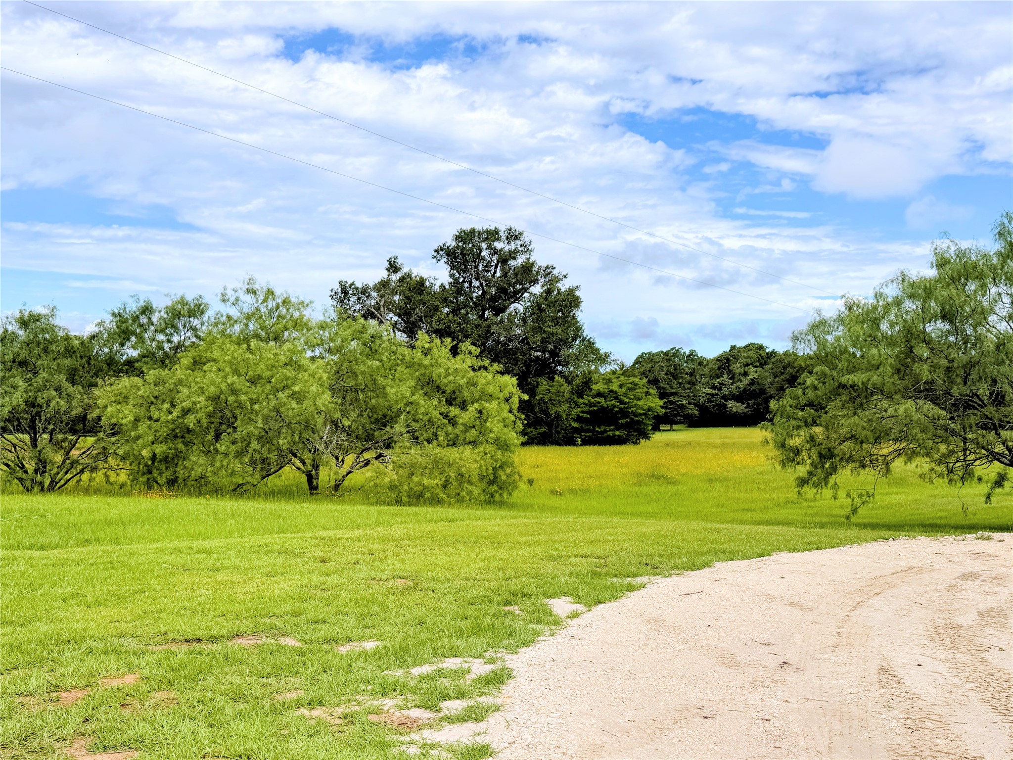 350 Cr 1070 Wortham TX 76693