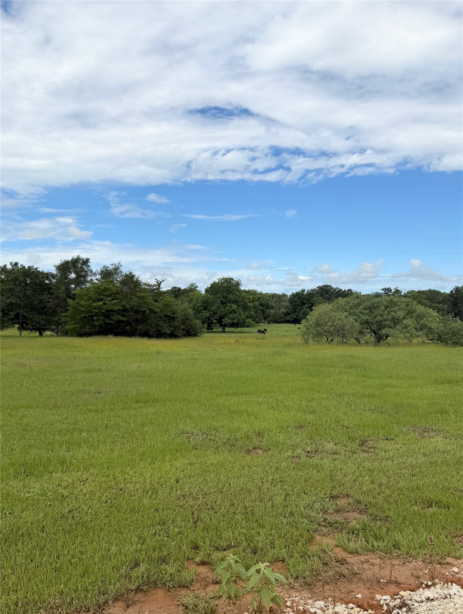350 Cr 1070 Wortham TX 76693