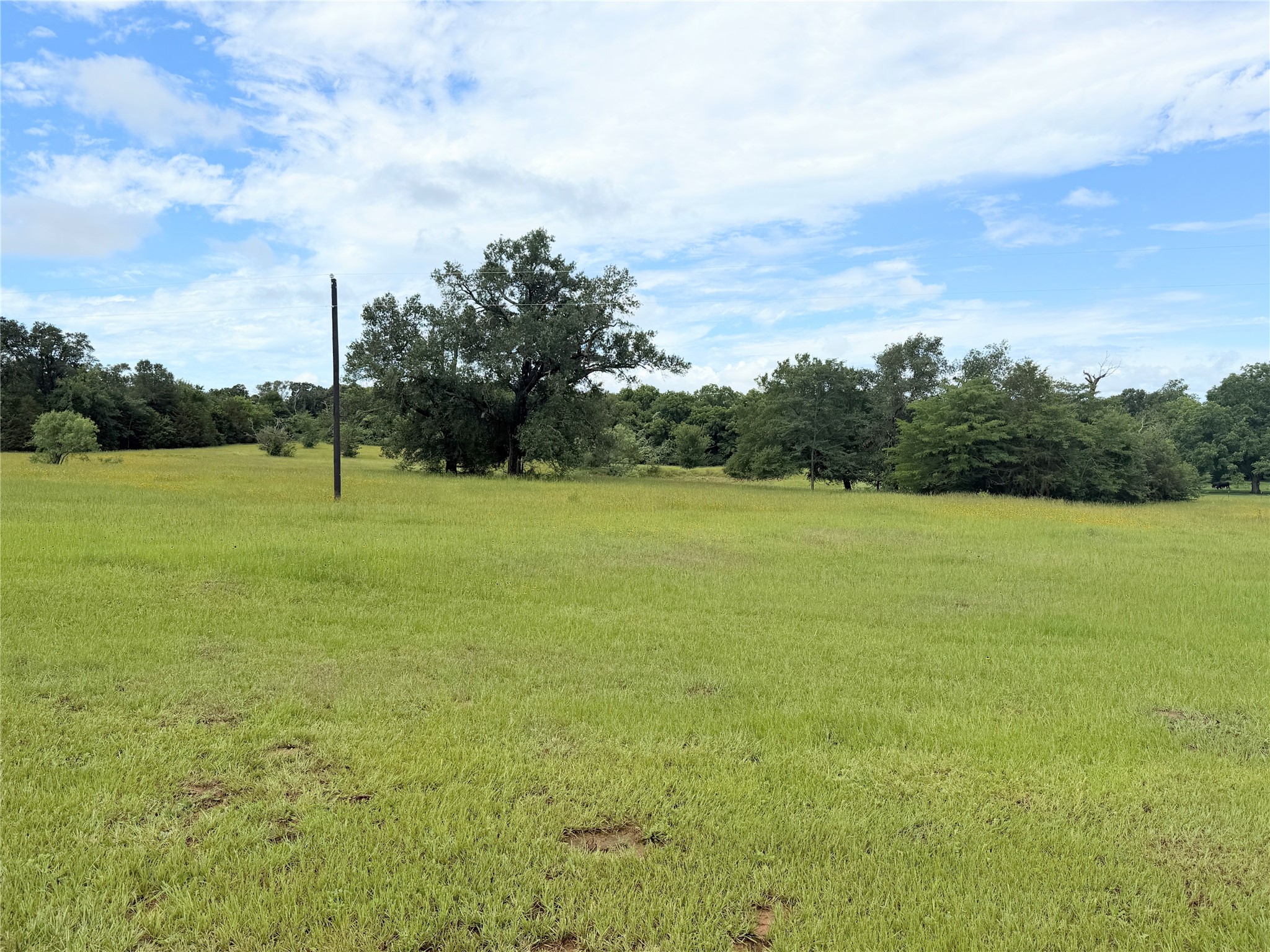 350 Cr 1070 Wortham TX 76693