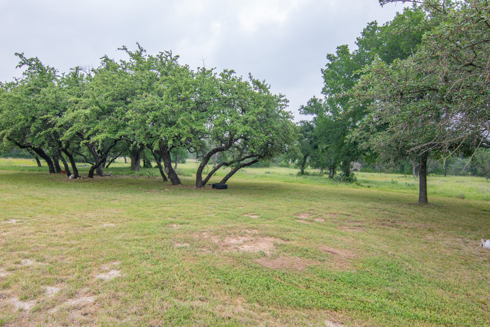 125 Circle P Heights Road Brownwood TX 76801
