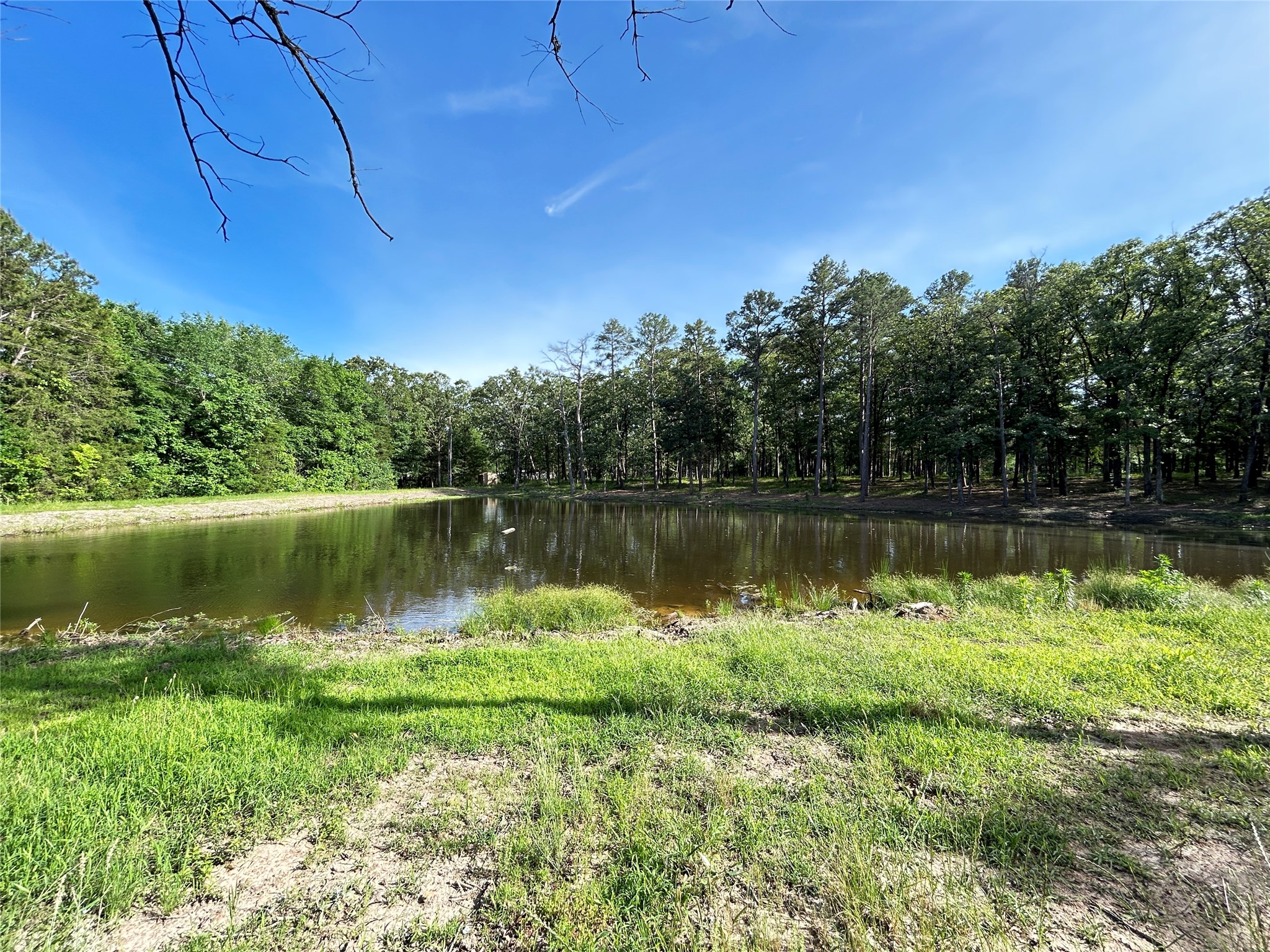 3236 Farm Road 3019 Winnsboro TX 75494