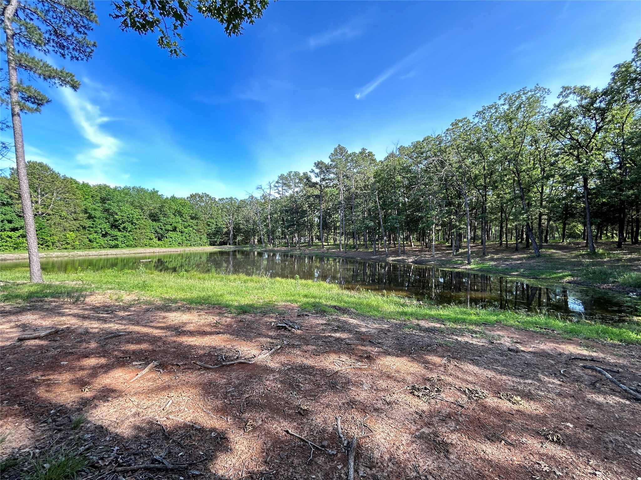 3236 Farm Road 3019 Winnsboro TX 75494