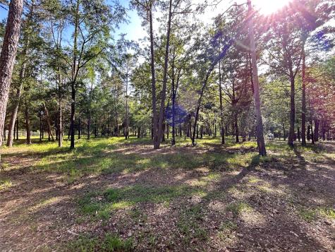 3236 Farm Road 3019 Winnsboro TX 75494
