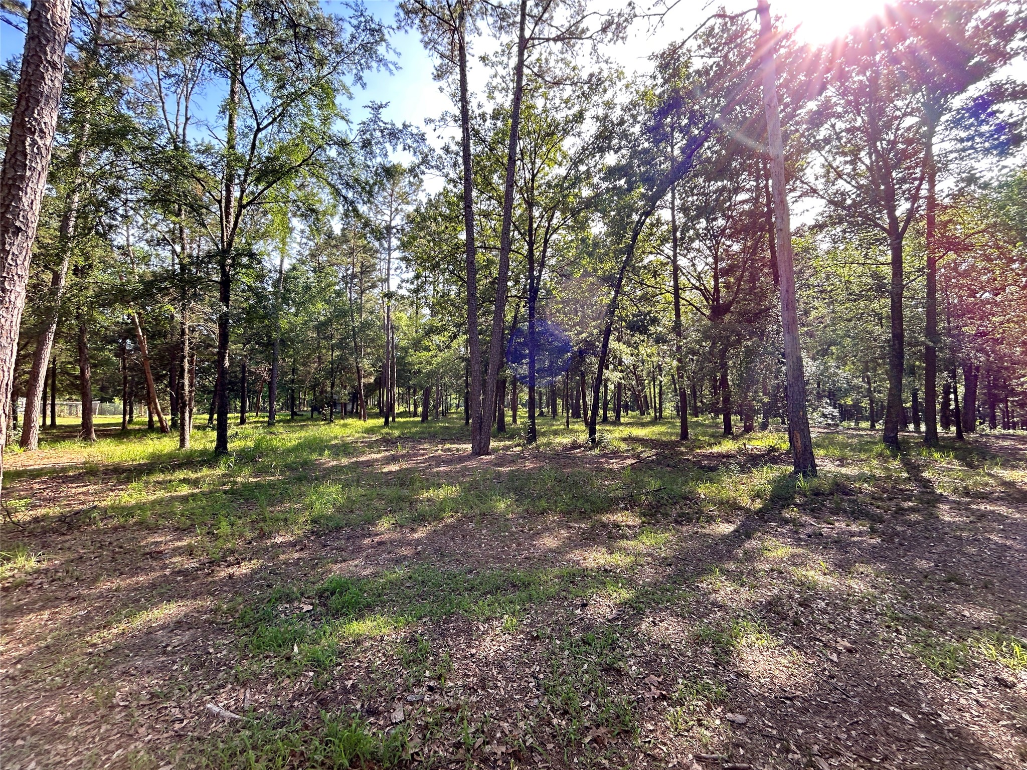 3236 Farm Road 3019 Winnsboro TX 75494