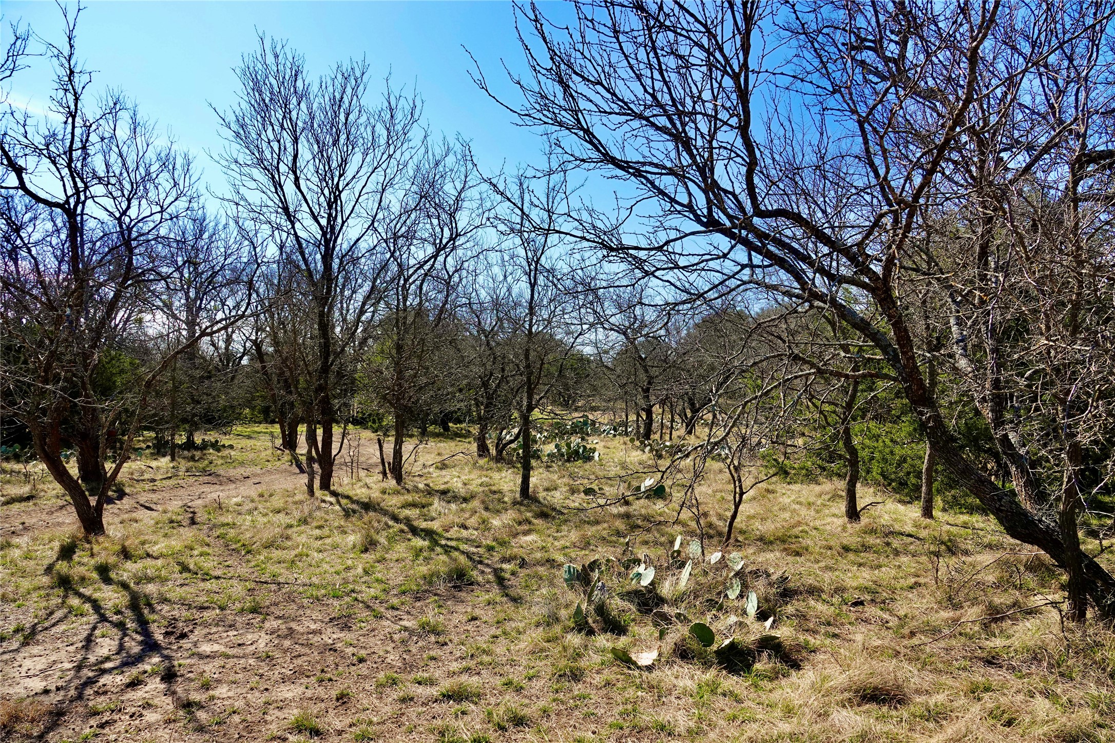 981 W Highway 84 Mullin TX 76864