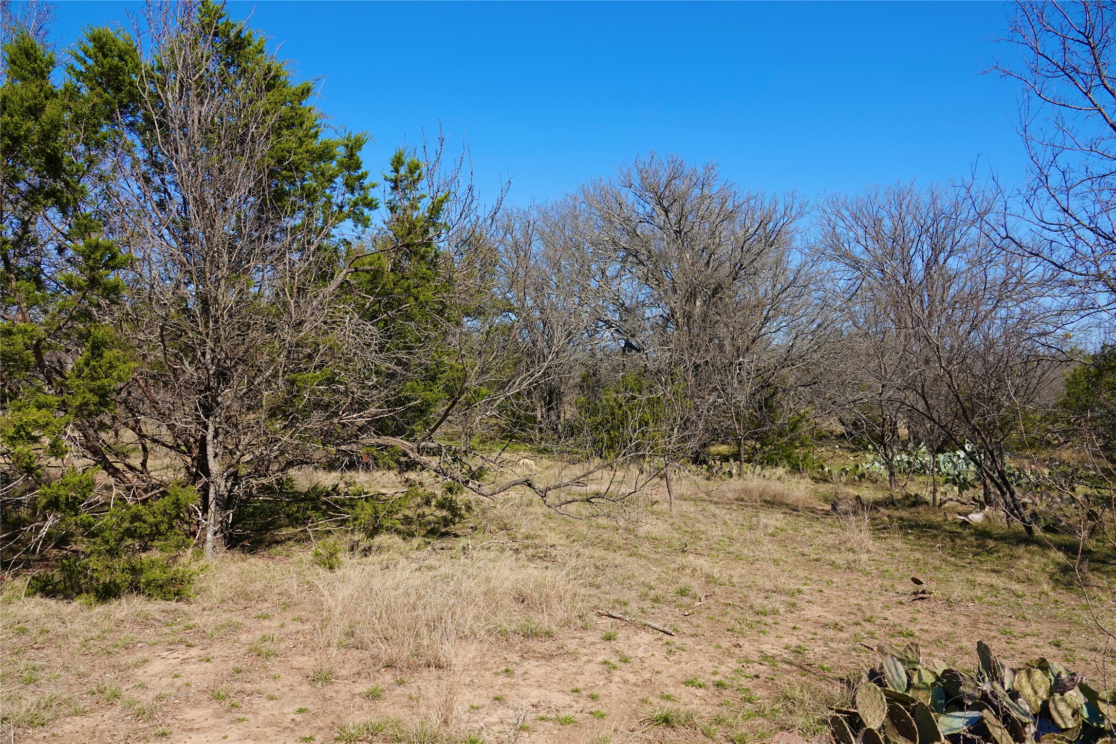 981 W Highway 84 Mullin TX 76864