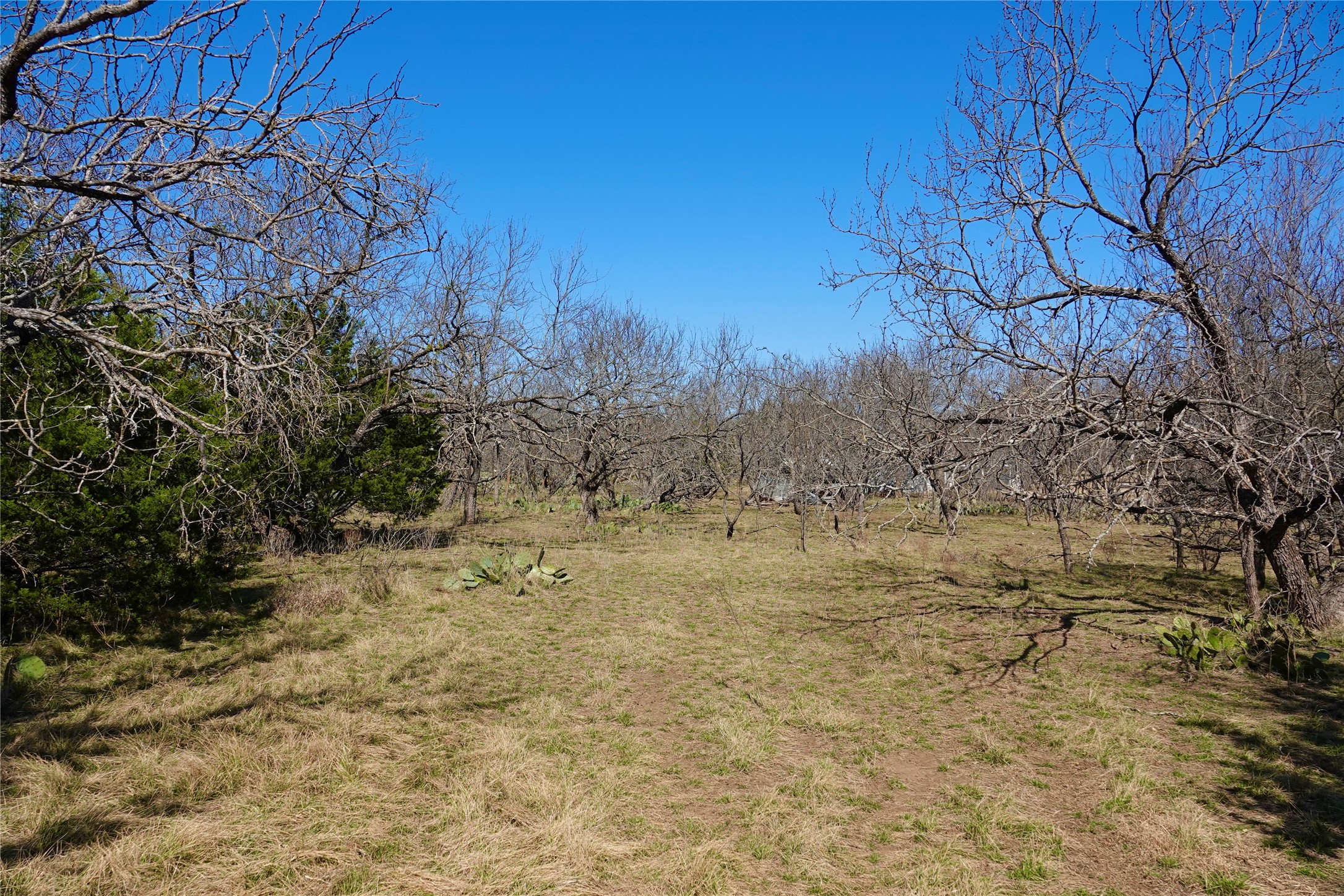 981 W Highway 84 Mullin TX 76864