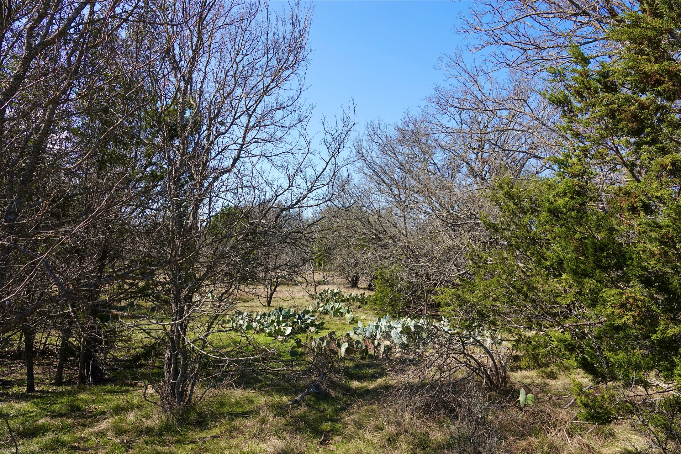 981 W Highway 84 Mullin TX 76864