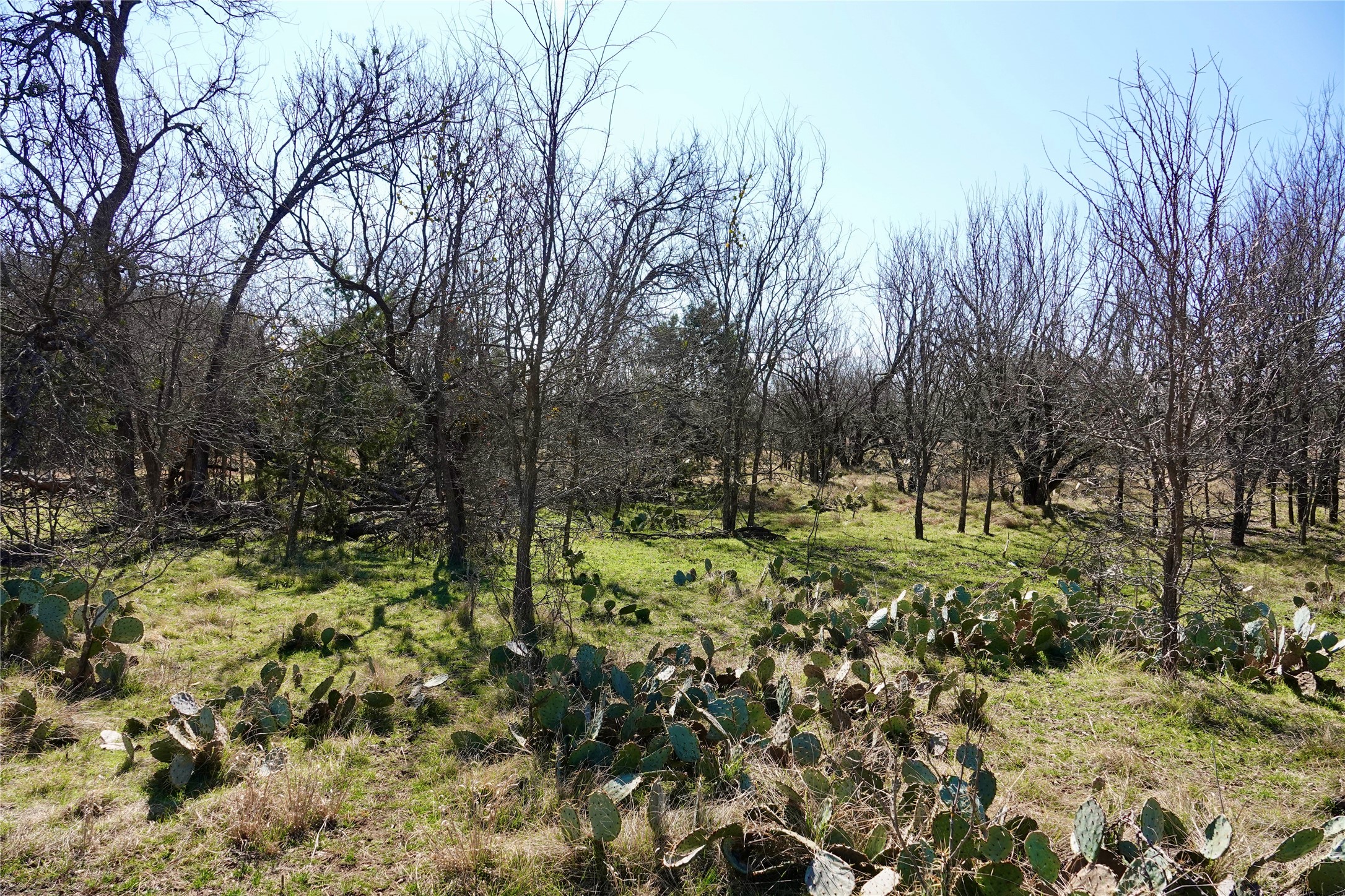 981 W Highway 84 Mullin TX 76864