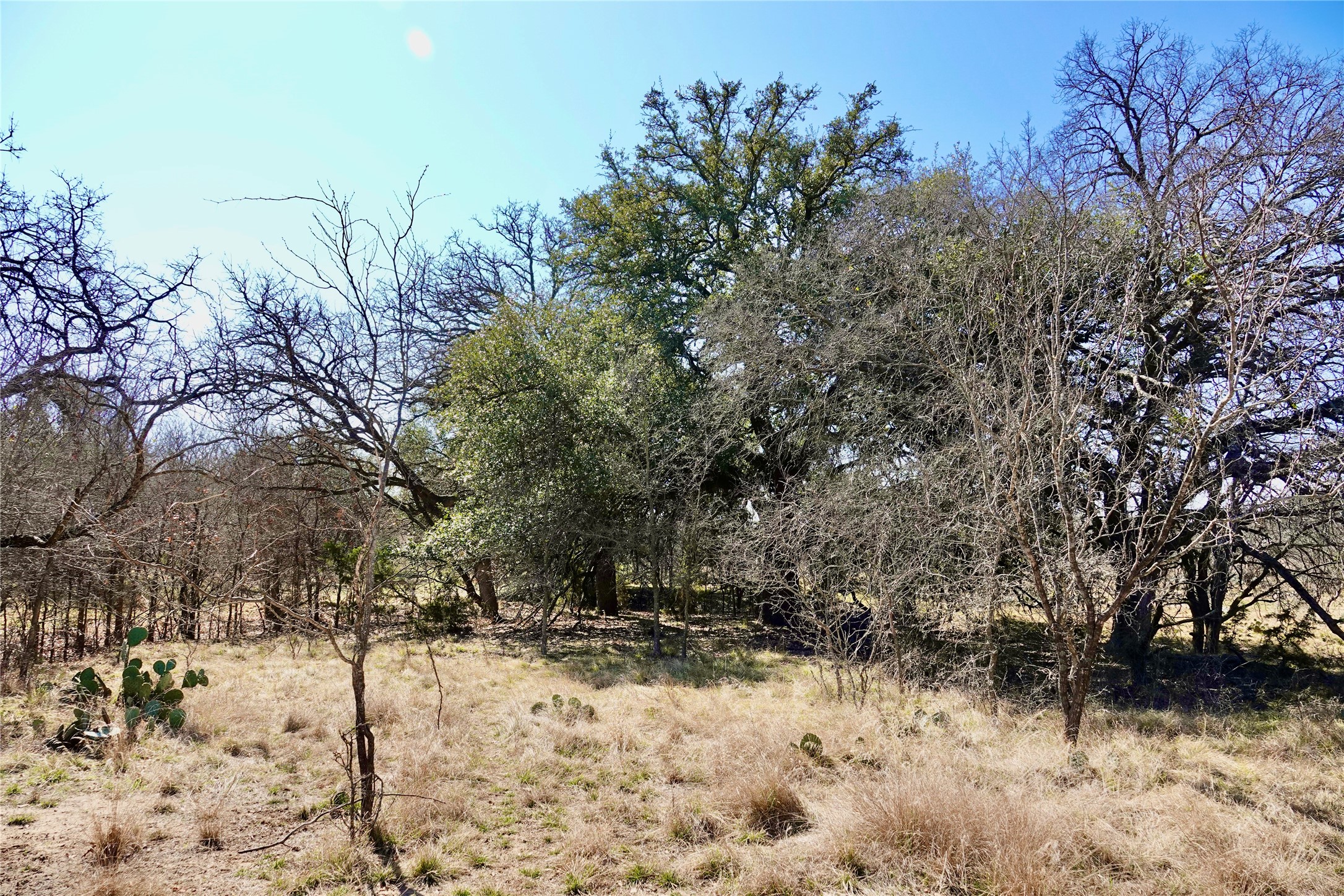 981 W Highway 84 Mullin TX 76864