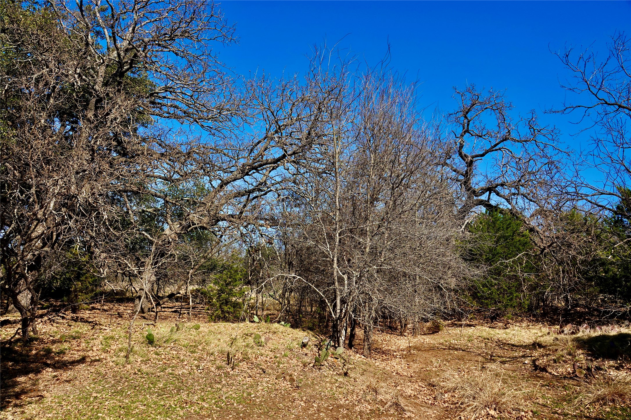 981 W Highway 84 Mullin TX 76864