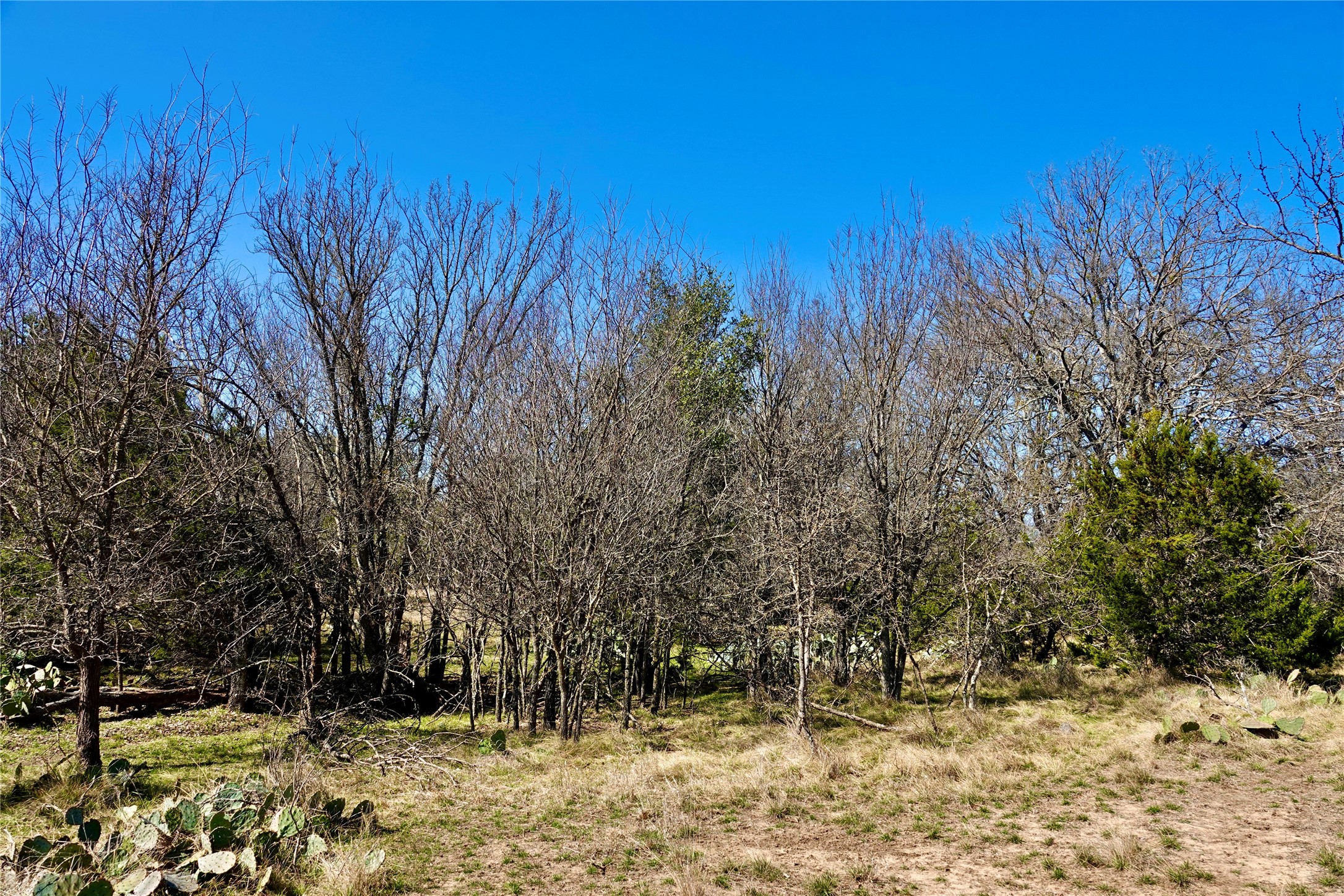 981 W Highway 84 Mullin TX 76864
