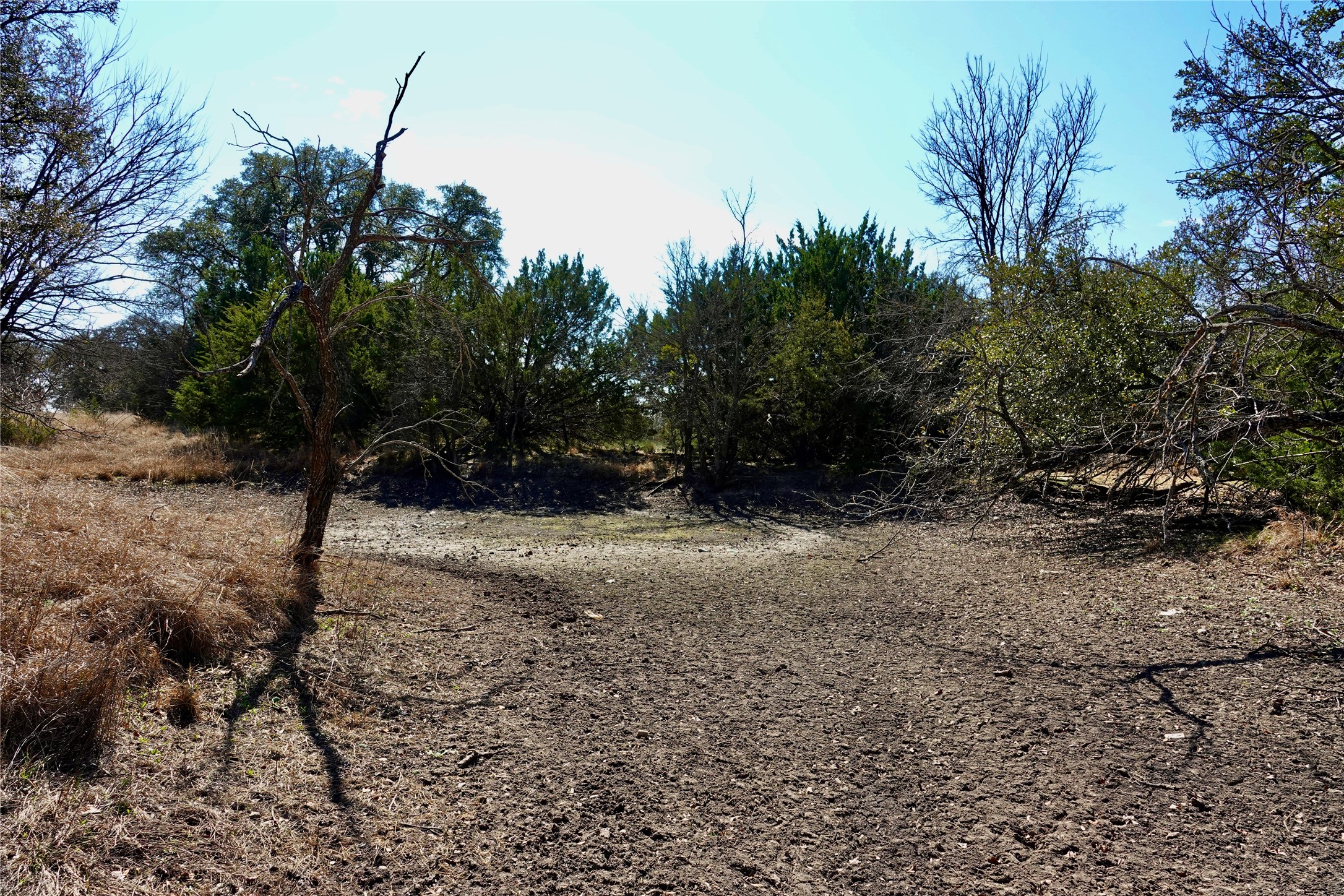 981 W Highway 84 Mullin TX 76864