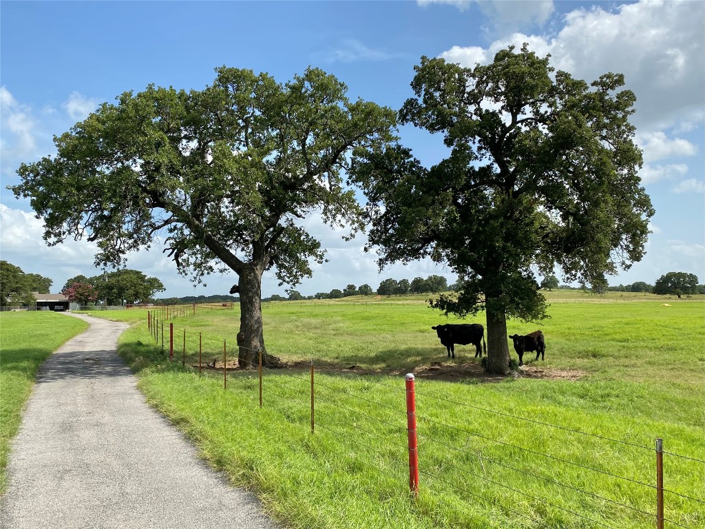 1605 Tolar Cemetery Road Tolar TX 76476