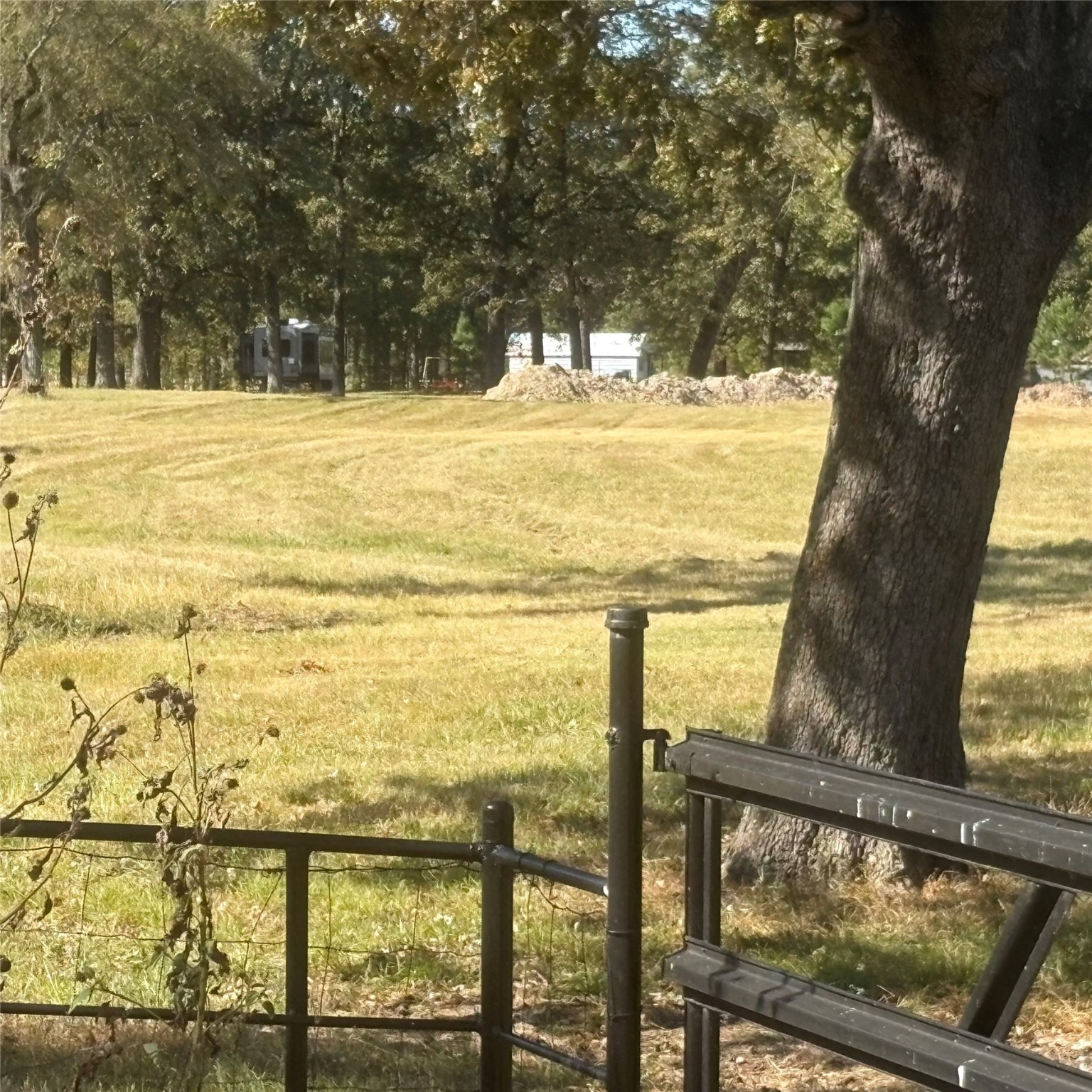 5047 N Fm 17 Alba TX 75410