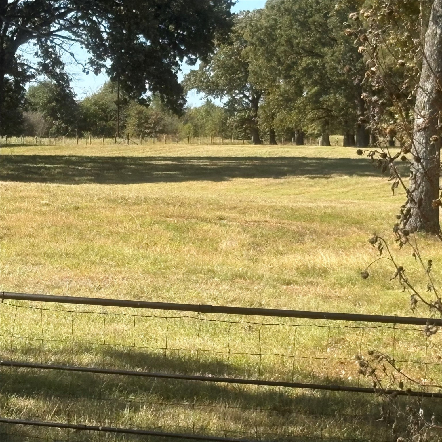5047 N Fm 17 Alba TX 75410