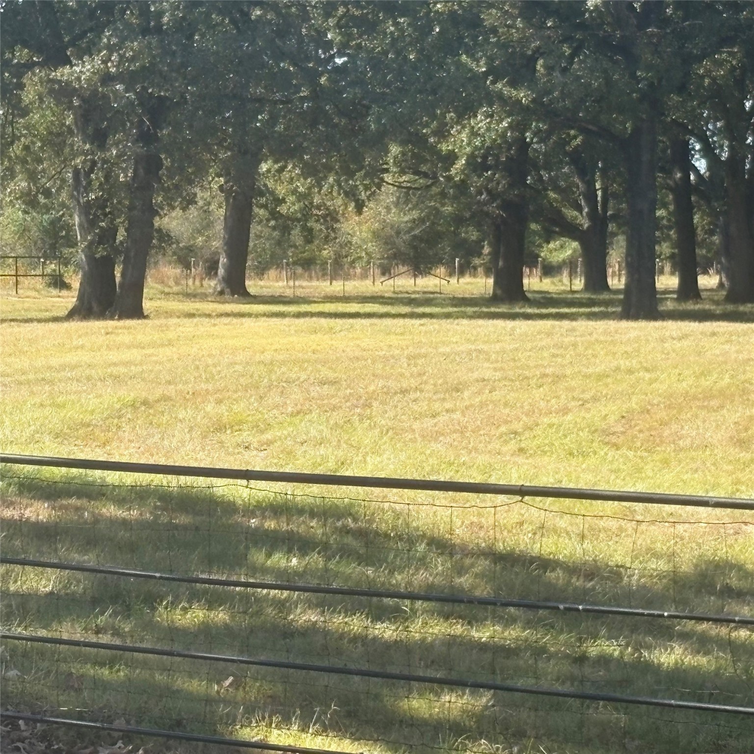 5047 N Fm 17 Alba TX 75410