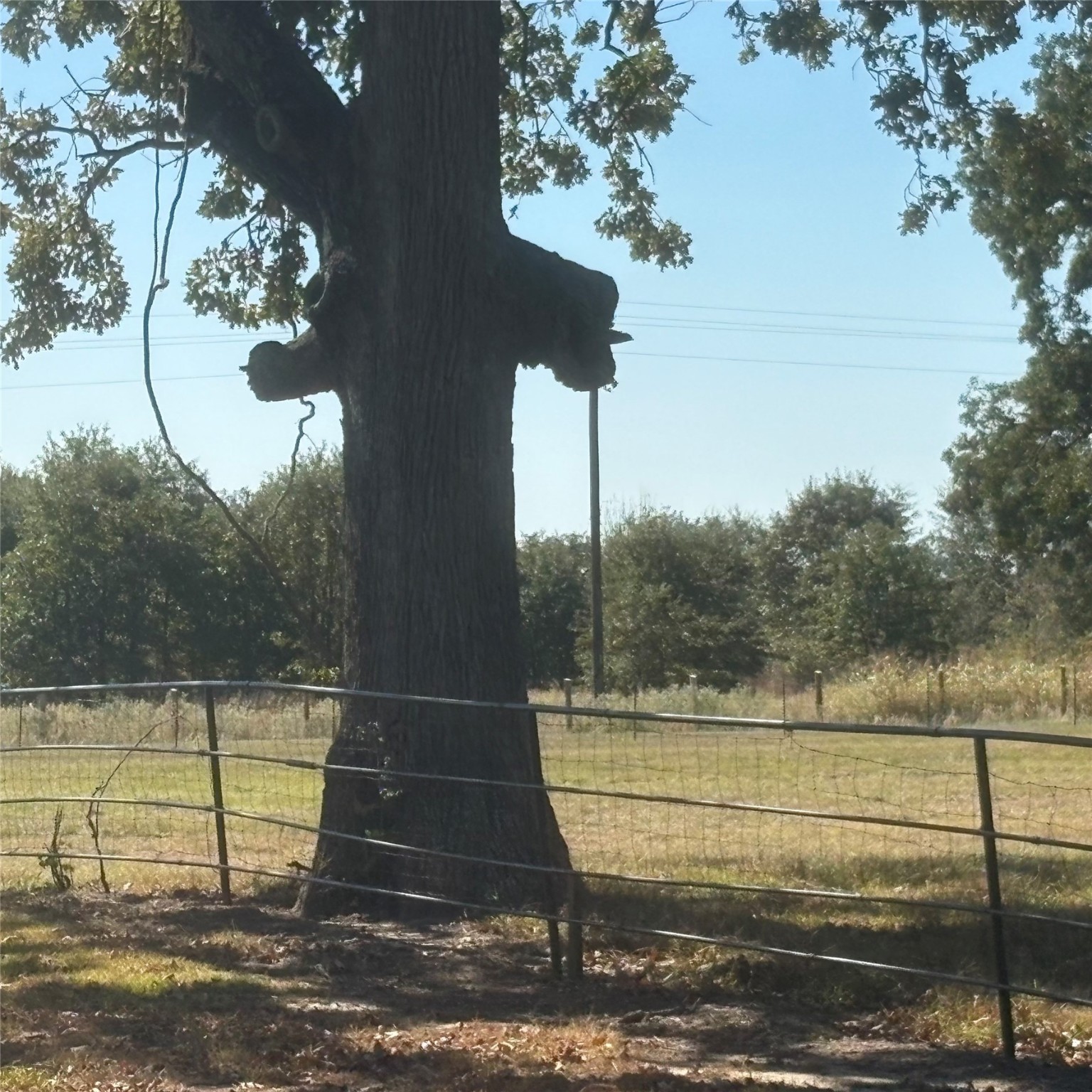 5047 N Fm 17 Alba TX 75410