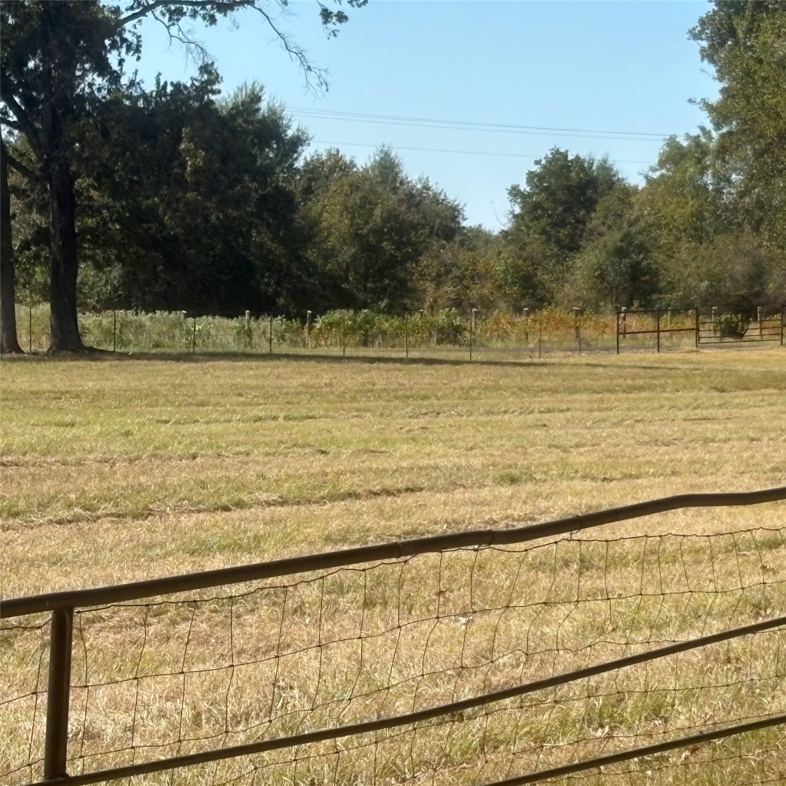 5047 N Fm 17 Alba TX 75410
